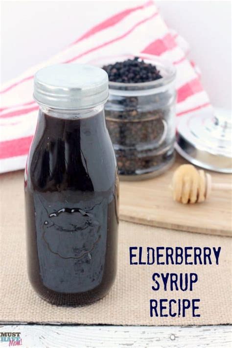 70+ Elderberry Recipes & Remedies for Food & Health Elderberry
