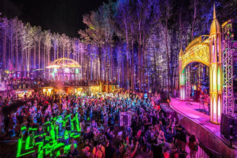 Electric Forest 2024: A Magical Experience In Nature