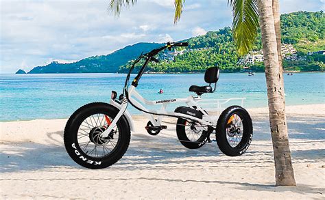 electric 3 wheel bikes pedal assist