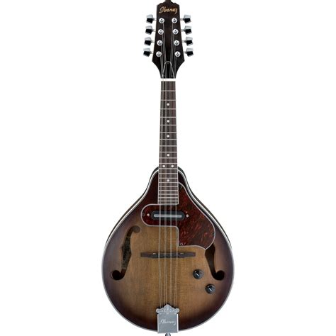 electric acoustic mandolin for sale