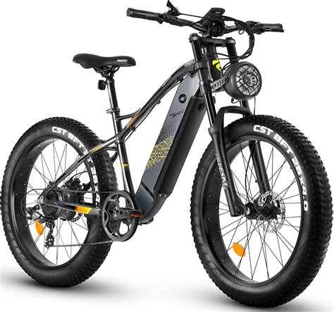 electric bike for adults reviews