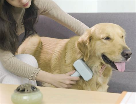 Electric Brush For Pet