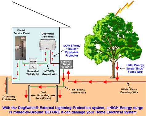 Electric Dog Fence Lightning