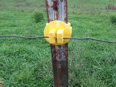 electric fence construction cattle