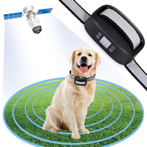 electric fence for dogs near me