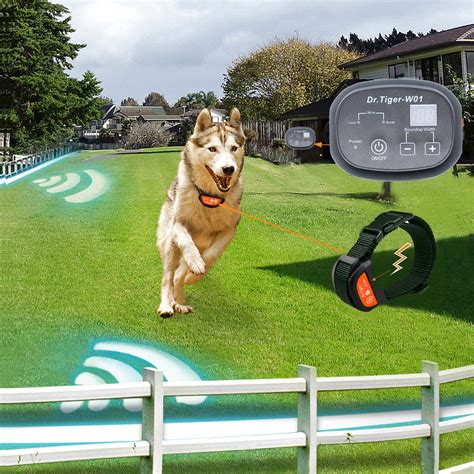 electric fence for dogs near me