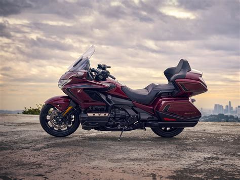 Electric Gold Wing