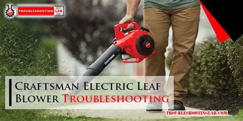 Electric Leaf Blower Not Starting