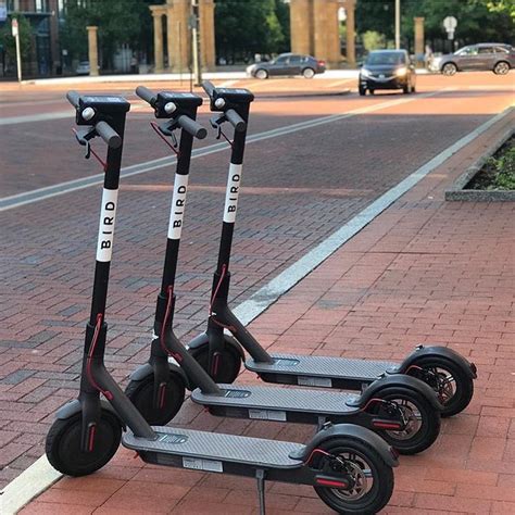 electric scooters for rent near me app