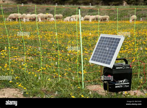 Electric Sheep Fencing Pfsense