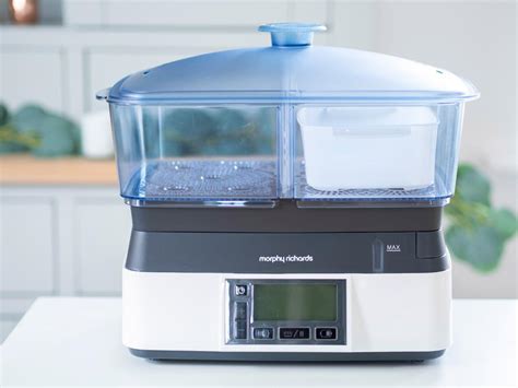 Electric Steamer Morphy Richards