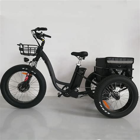 electric tricycle for adults near me rental