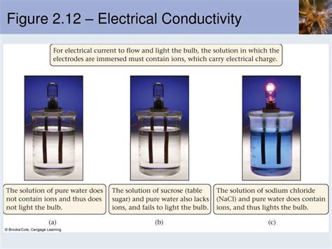 Electrical Conductivity Principle
