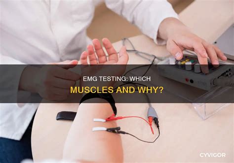 Electrical Test For Muscles