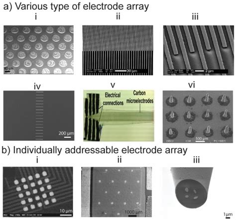 Electrochemical Biosensor Arrays
