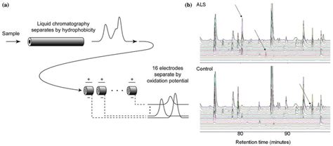 Electrochemical Coulometric Array Detection