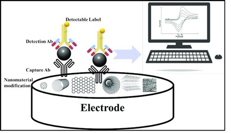 Electrochemical Immunosensor