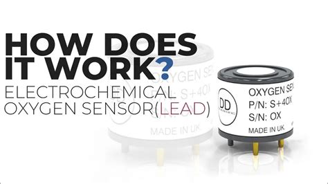 Electrochemical Sensor Using Lead