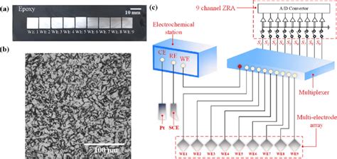 Electrode Array Diagram