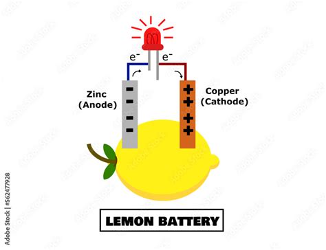 Electrode In Lemon Battery