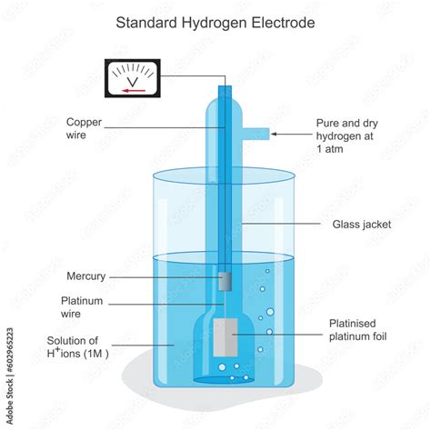 Electrode Of Hydrogen