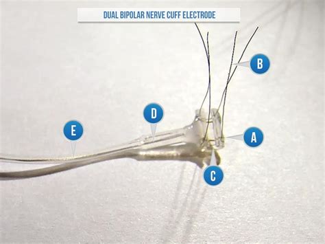 Electrodes Nerve Cuff