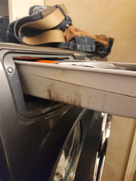 Electrolux Washer Mold Problem