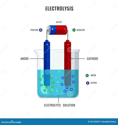 Electrolyte Diagram