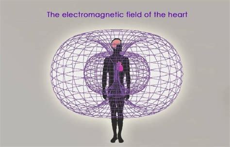 Electromagnetic Field Around Heart
