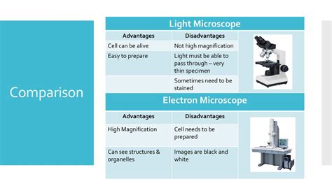 PPT Scanning Electron Microscopy PowerPoint Presentation, free download ID4524650