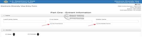 electronic diversity visa entry form