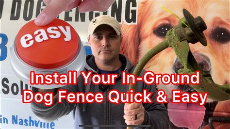 Electronic Dog Fence Installation