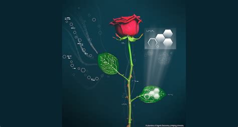 Electronic Roses: The Future of Digital Flora?
