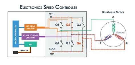 Electronic Speed Controller Beeping