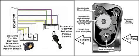 electronic throttle control system inputs and outputs | Automotive