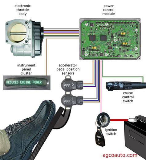 Electronic Throttle Control System Sensor