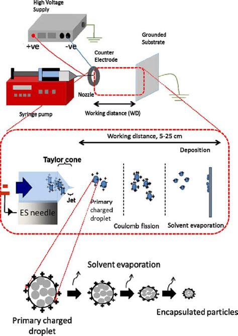Electrospray Mass Spectrometry Cyclodextrin