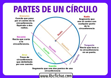 elementos de un circulo