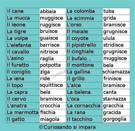 elenco parole italiane txt