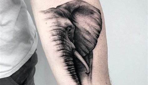 Elephant Hand Tattoo For Men Pin By Maddie On Tatto's