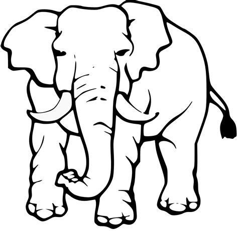 elephant clipart black and white png