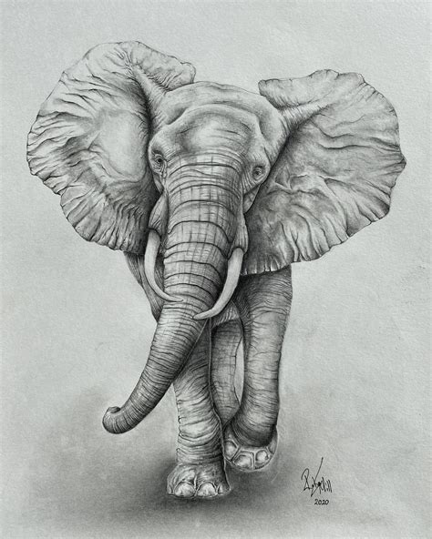Elephant Drawing Wall Art