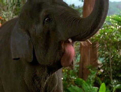 elephant in george of the jungle