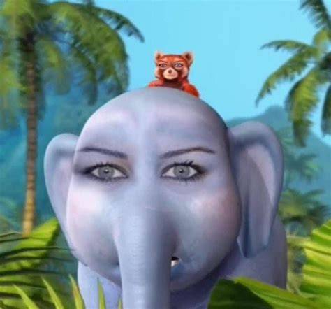 The best elephant memes ) Memedroid
