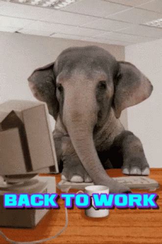 Pin by 👑🍀👑AnGềLiQuE💖 La Mสั๋rĞuisề👼 on ХИЩНИКИ Gif Elephant gif