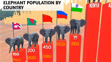 elephant population 2023