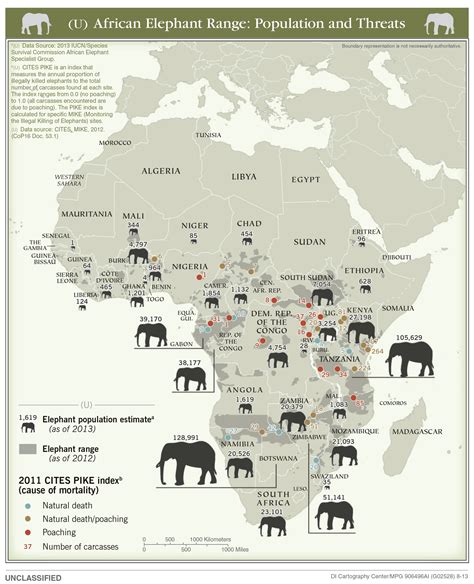 elephant population in africa