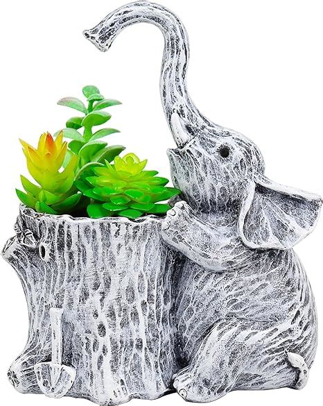 Elephant Pots For Plants
