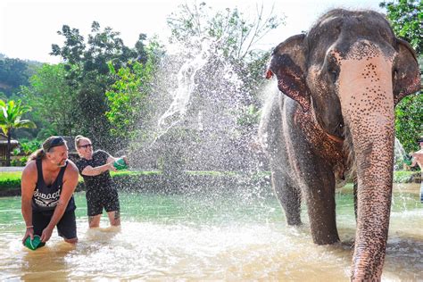 Elephant Sanctuary Lunch