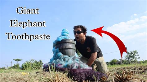 Elephant Toothpaste Experiment Gone Wrong